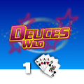 Deuces Wild 1 Hand