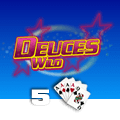 Deuces Wild 5 Hand