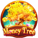 Money Tree