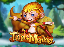 Triple Monkey