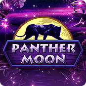 Panther Moon 