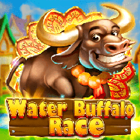 Water Buffalo Race