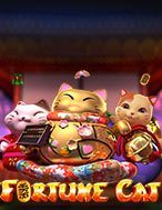 Fortune Cat