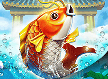 Carp Turn Dragon-BBIN