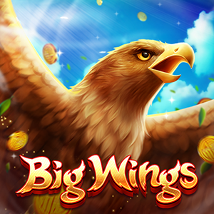 Big Wings-BBIN