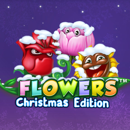 Flowers Christmas