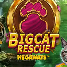 Big Cat Rescue Megaways