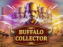 Buffalo Collector