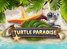 Turtle Paradise