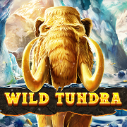 Wild Tundra