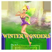 Winter Wonders