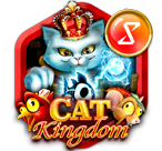 Cat Kingdom