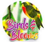 Birds & Blooms