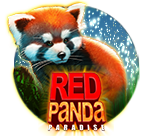 Red Panda Paradise