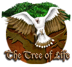 Tree Of Life