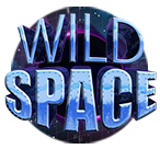 Wild Space