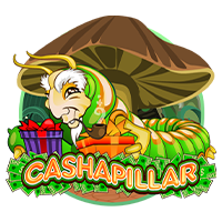 Cashapillar