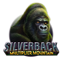 Silverback Multiplier Mountain