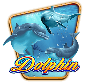 Dolphin