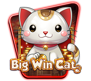 BigWinCat