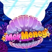 MerMoney 93.98