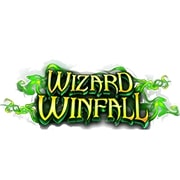 Wizard WinFall 96.03