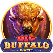 Big Buffalo