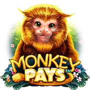 Monkey Pays