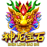 Shen Long Bao Shi