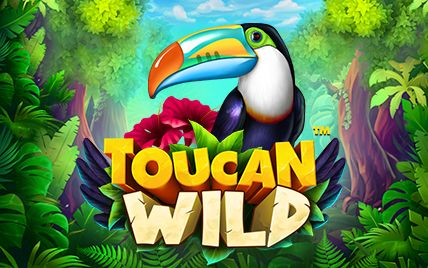 Toucan Wild 965