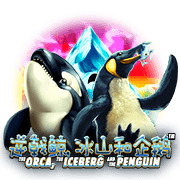 The Orca, the Iceberg and the Penguin