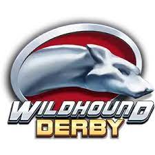 Wildhound Derby