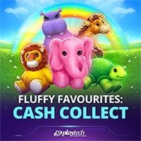Fluffy Favourites Cash Collect