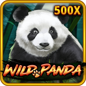 Wild Panda