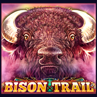 Bison Trail