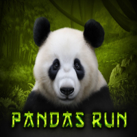 Panda's Run