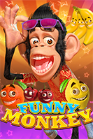 Funny Monkey