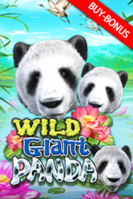 Wild Giant Panda